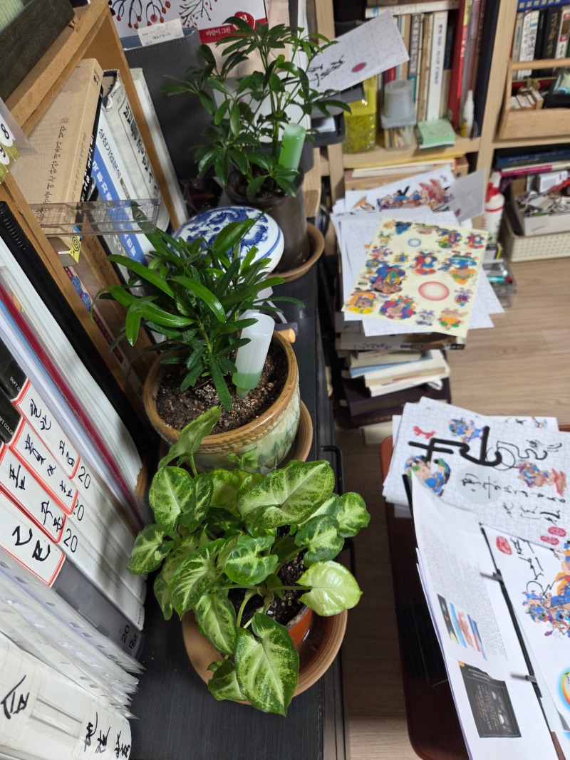 식긴1.jpg