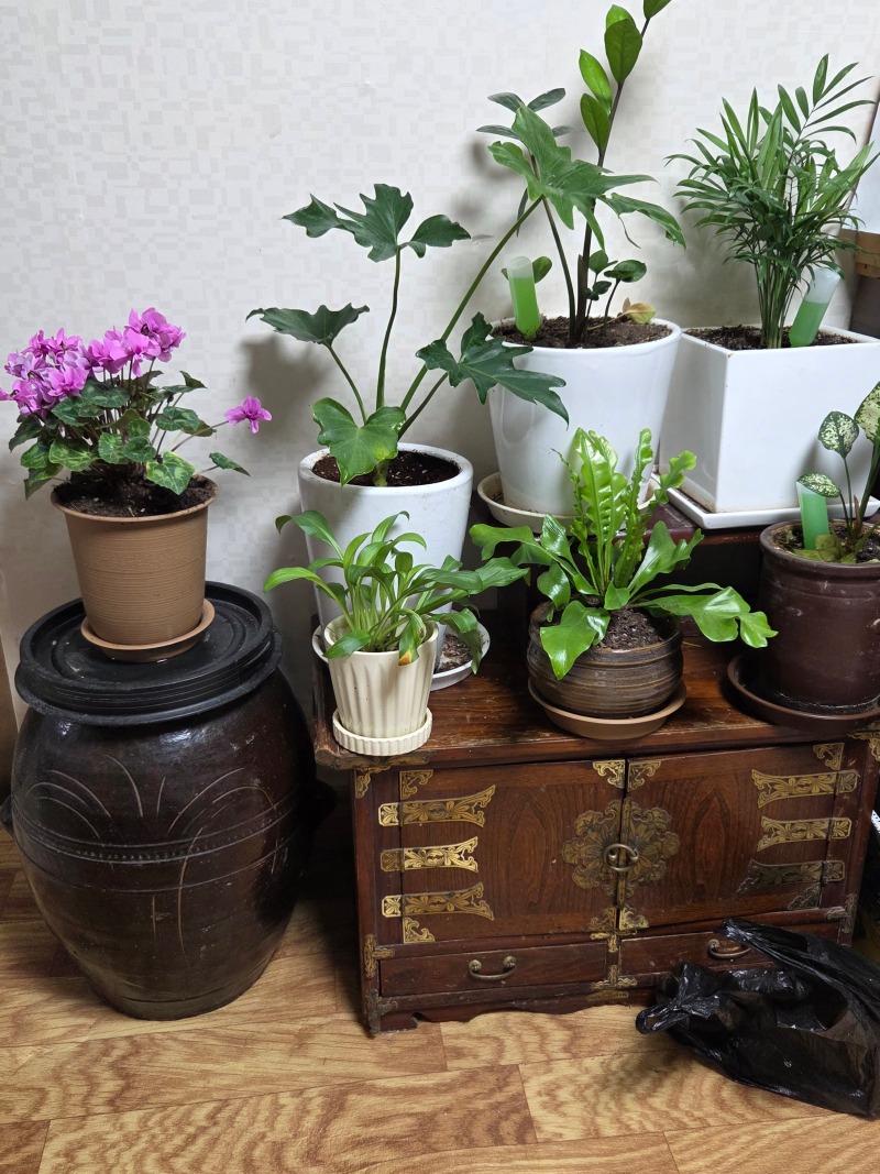 화방1.jpg