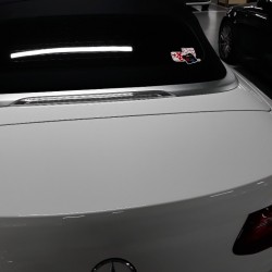 AUTOMOBILE  CHARM / 차 부적